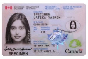 Buy Canadian ID Cards